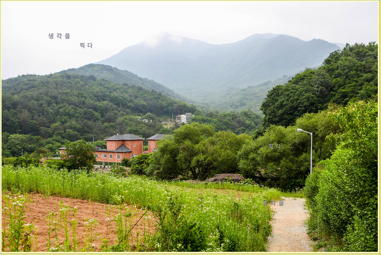 07화 계곡과 숲, 그리고 암봉이 잘 어우러진 대야산에 오르다