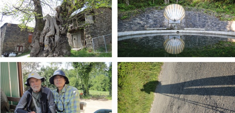 트리아카스텔라 2.jpg