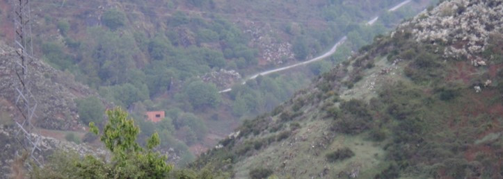 라파바 마을에서 본 고갯길 .jpg