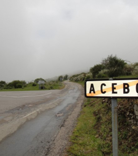 아세보 찻길.jpg