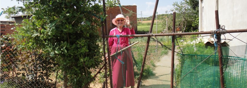 밭에서 일하는 할머니.jpg