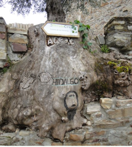 바위에서 나오는 샘.jpg