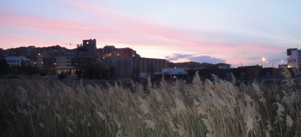 나바레테 여명.jpg