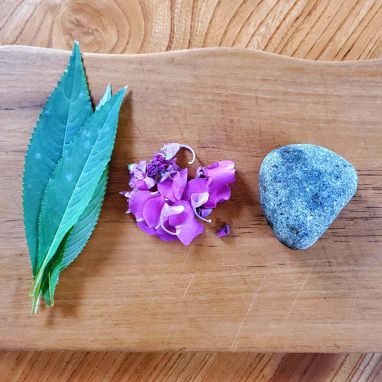 봉선화 빻기.jpg