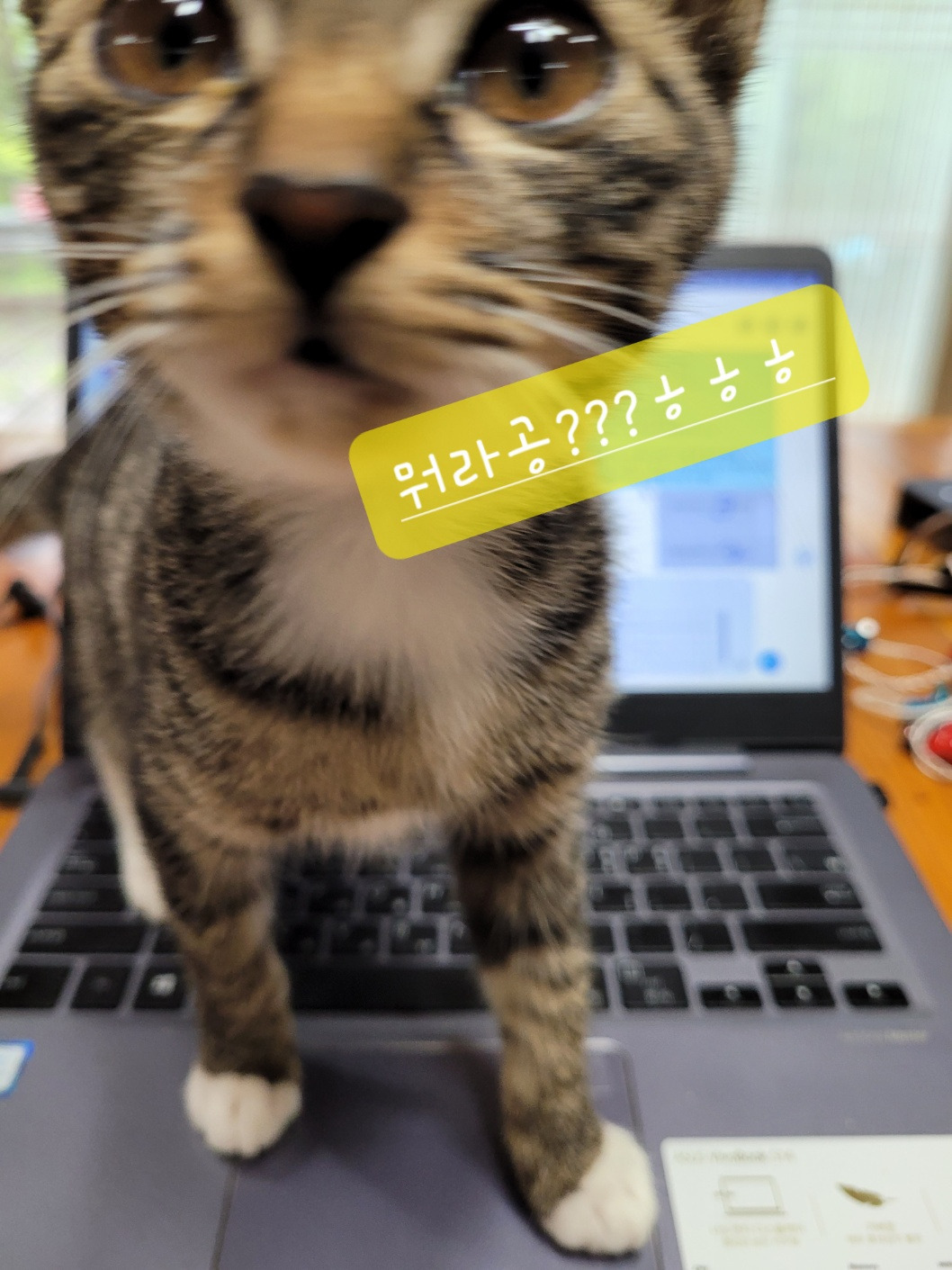 KakaoTalk_20250302_211811958_04.jpg