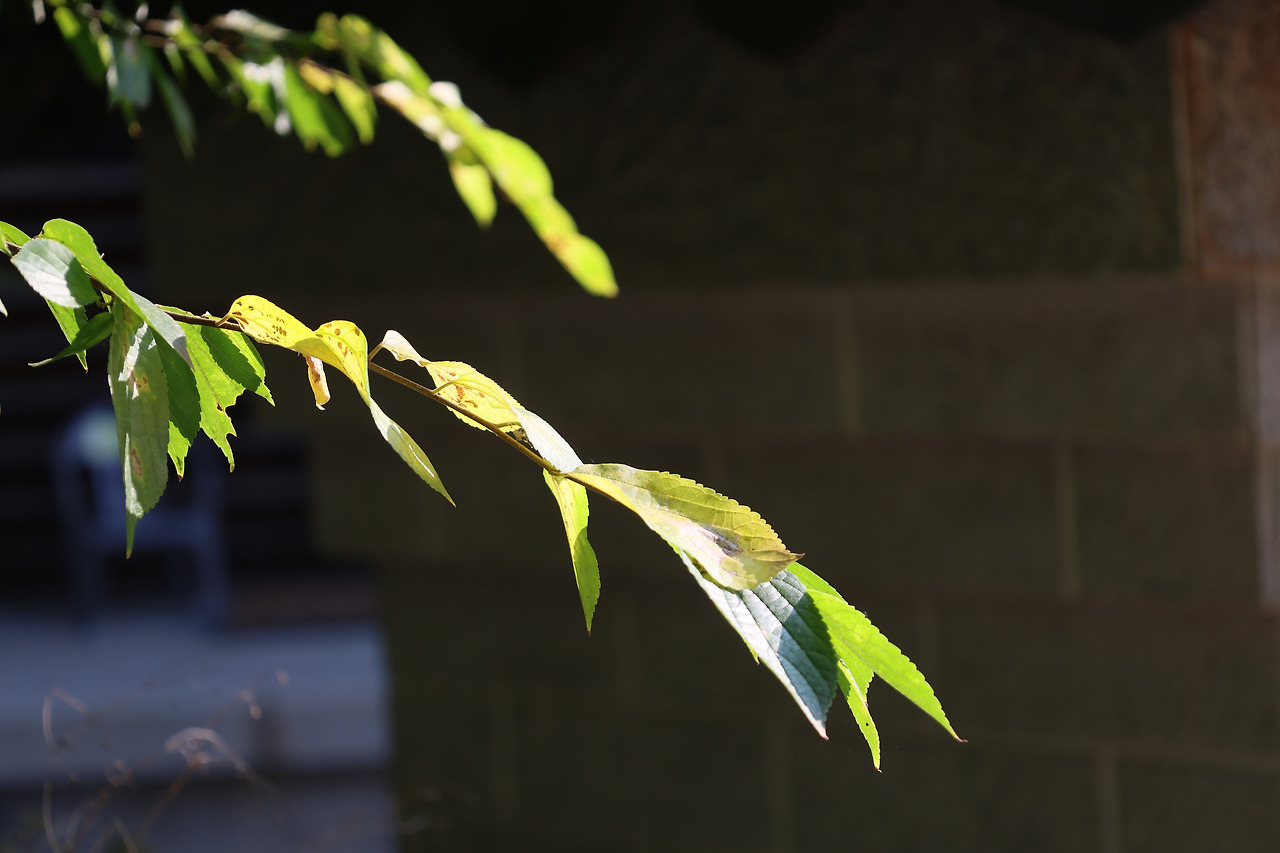 사본 -23.10. 2 과제3 빛.jpg