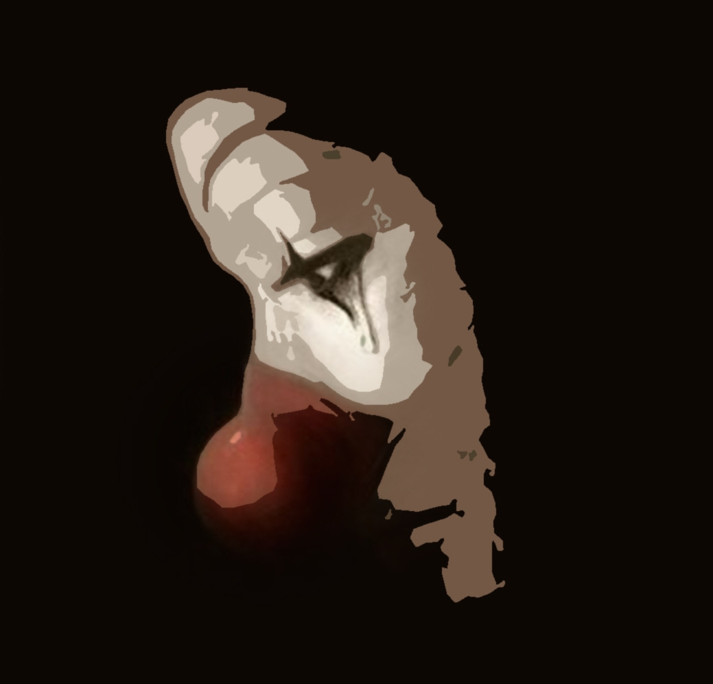 다운로드 (2).jpg