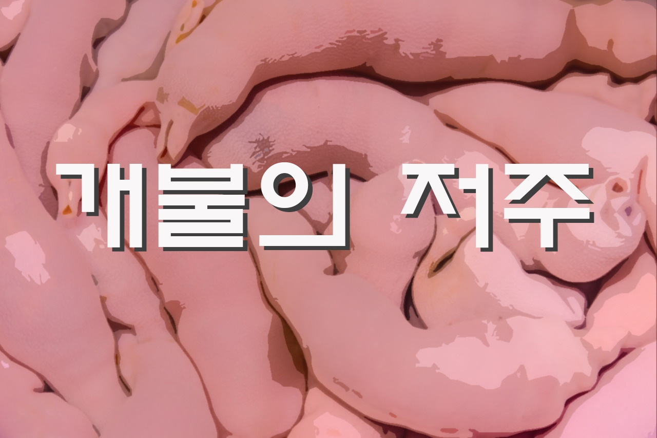 다운로드 (1).jpg