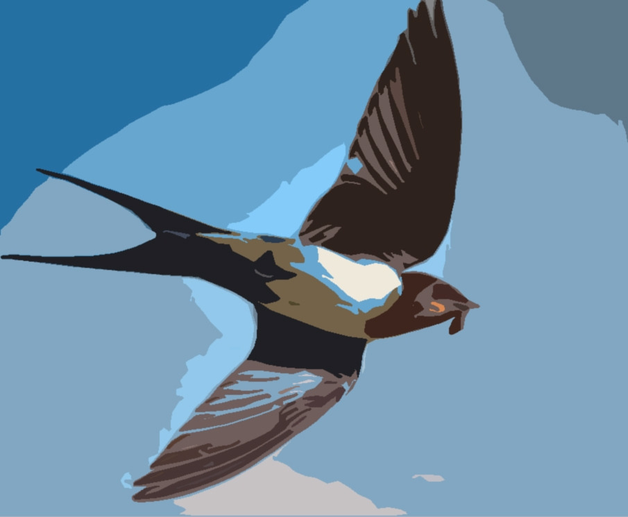 다운로드 (4).jpg