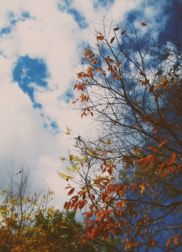 다운로드 (4).jpg