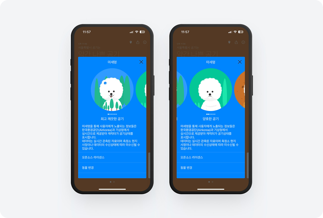 (1) 토스 - 66.jpg