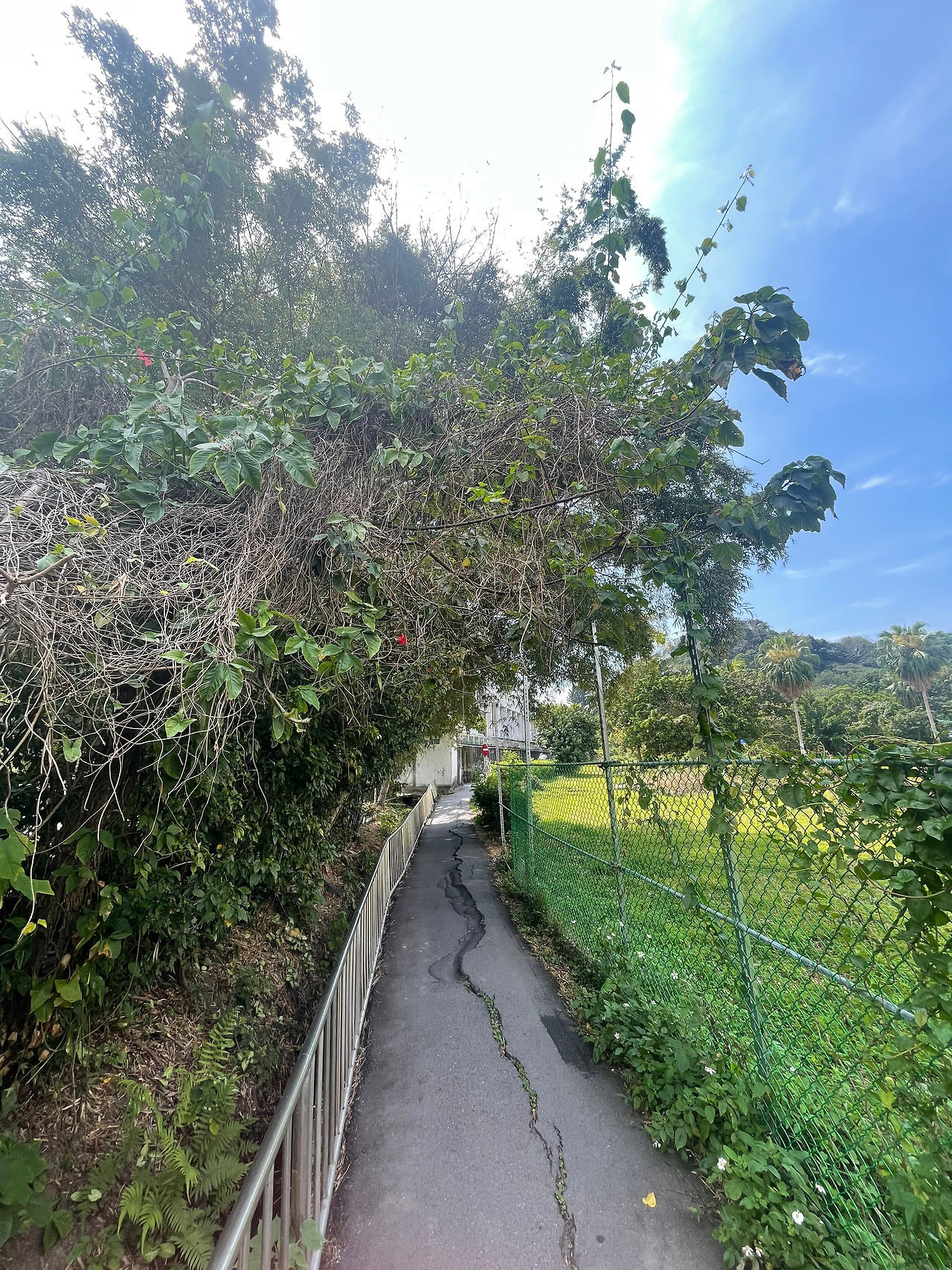 1k 골목길 풍경 1.jpg