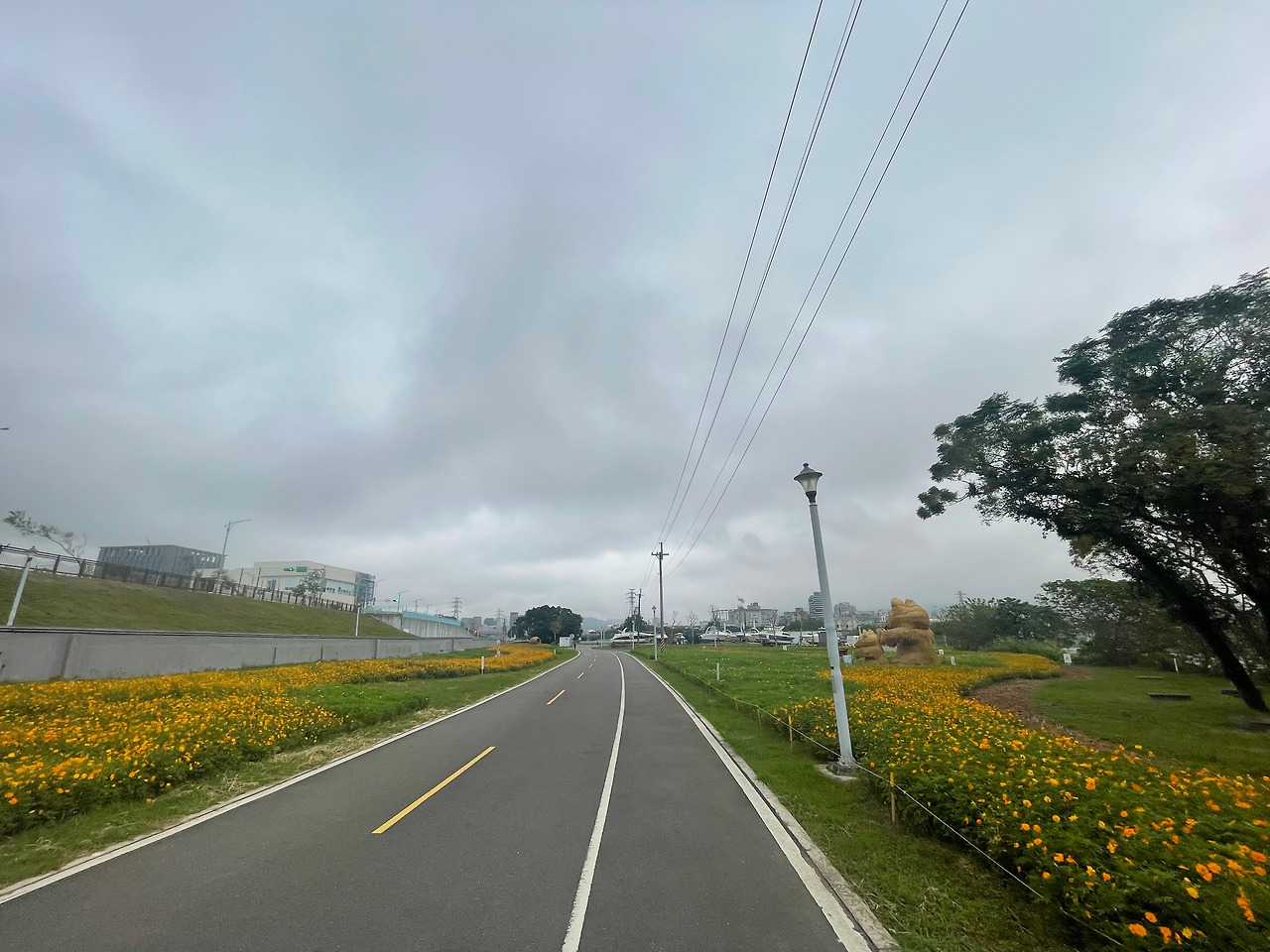 지롱강변 꽃밭.jpg