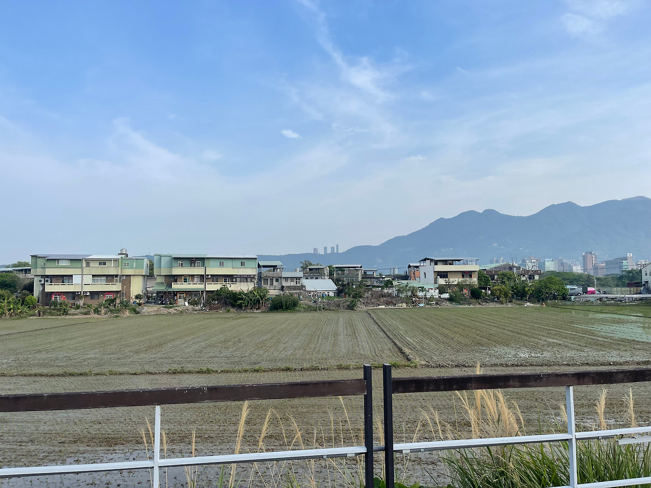 지롱강 논밭쪽 풍경.jpg