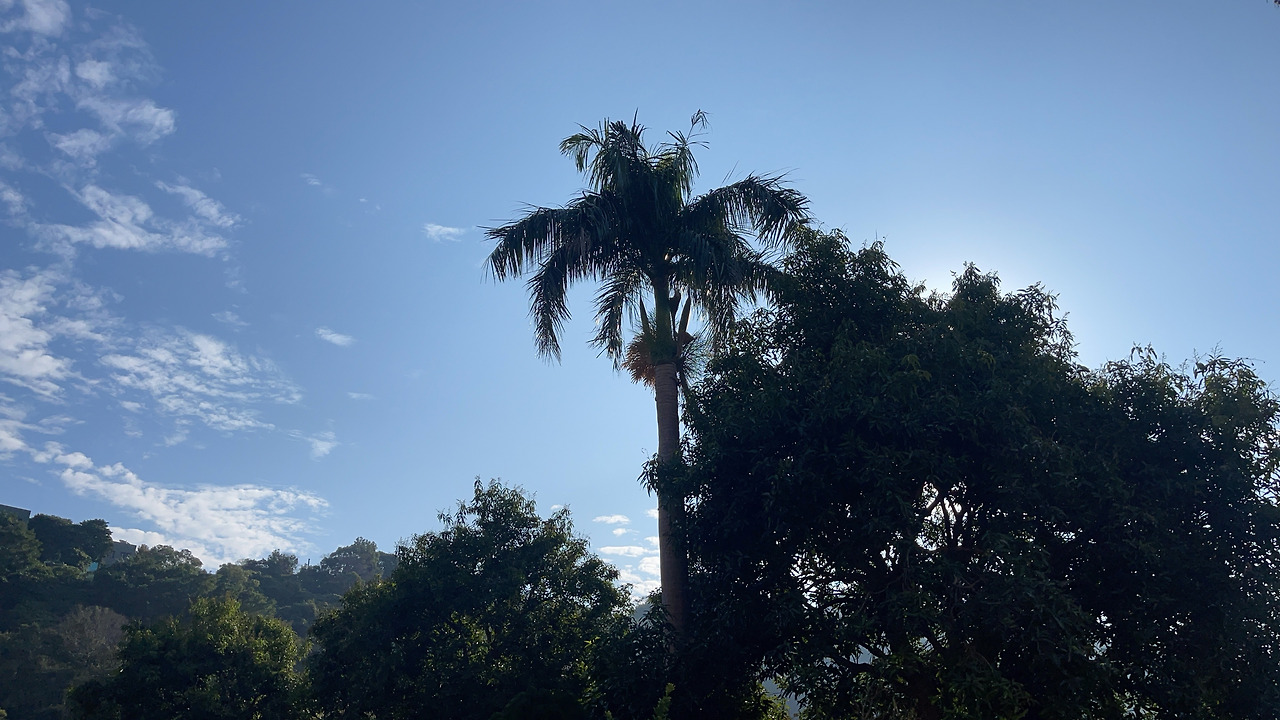 설날 대만의 모습.jpg