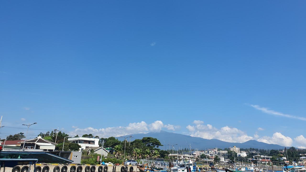 위미항에서 본 한라산.jpg
