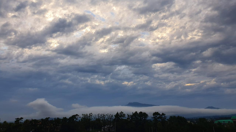 8월29일_위미항 (8).jpg