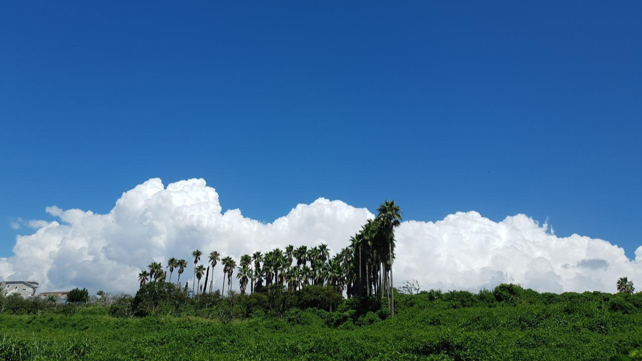 8월13일_올레7코스 (15).jpg