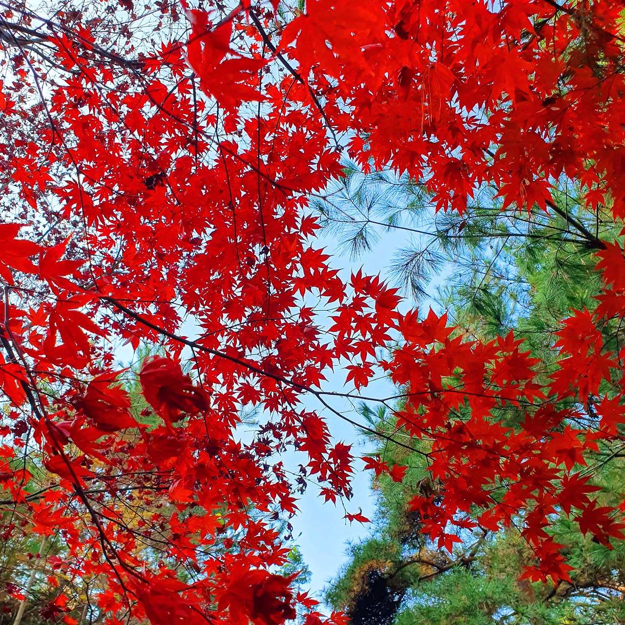 11월12일추가 (1).jpg