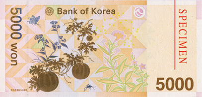 5천원권_뒤.jpg