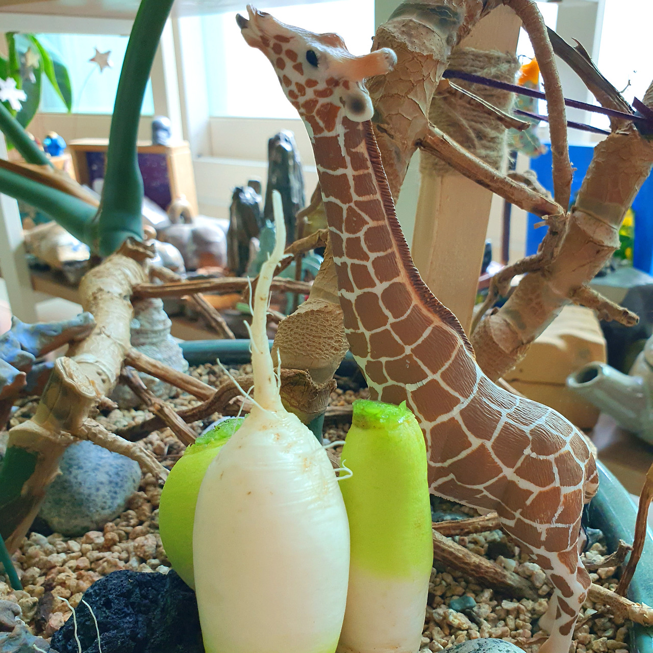 11월12일추가 (2).jpg