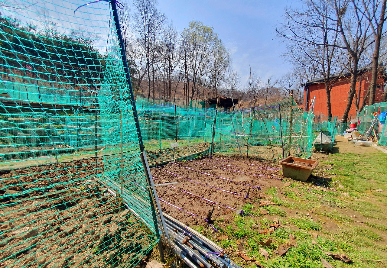 텃밭 울타리.jpg