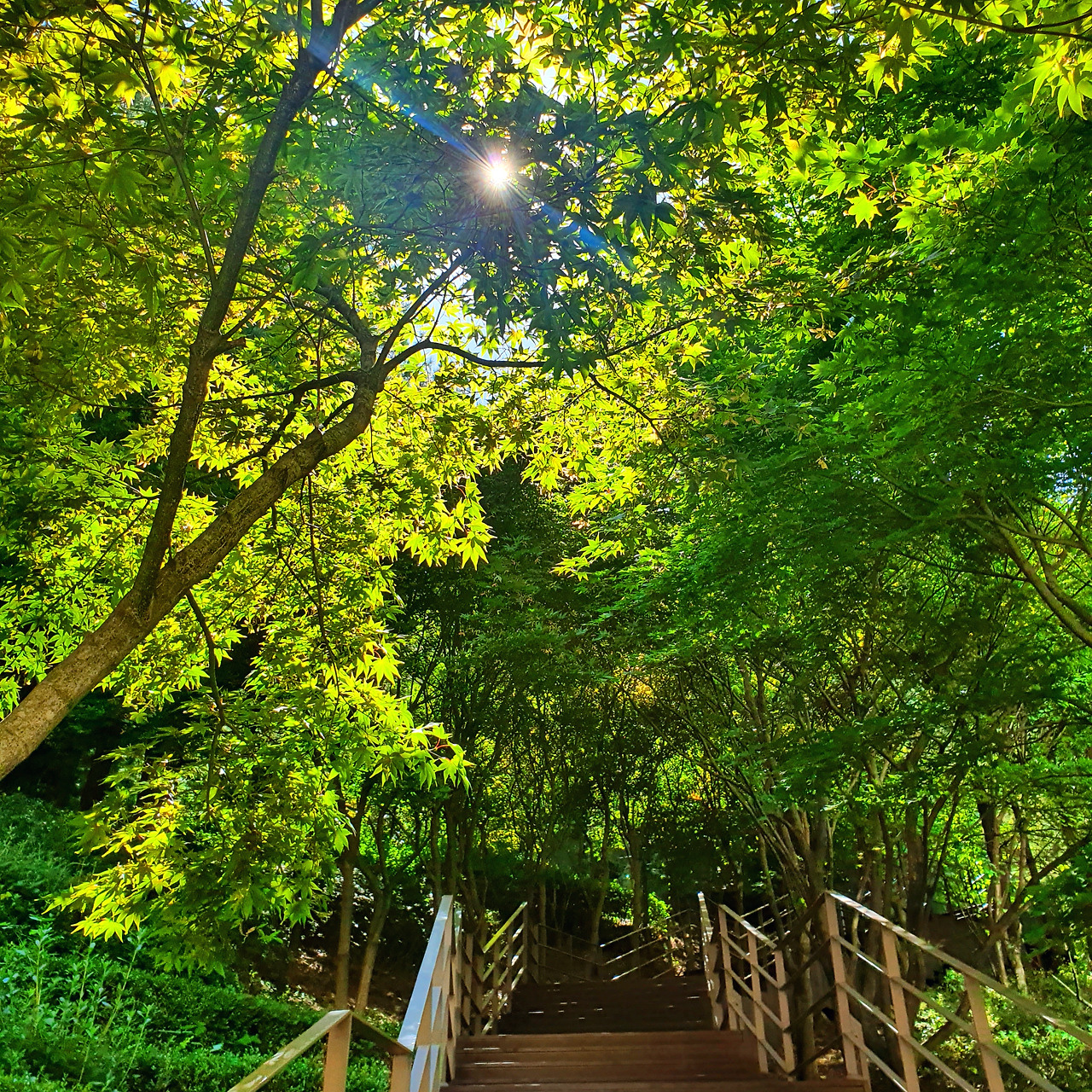 10월24일 계단.jpg