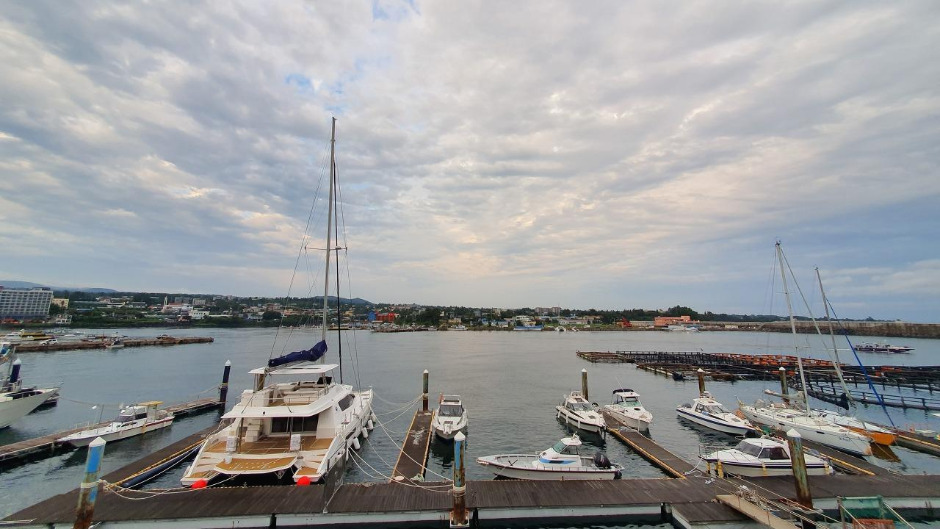 8월29일_위미항 (3).jpg