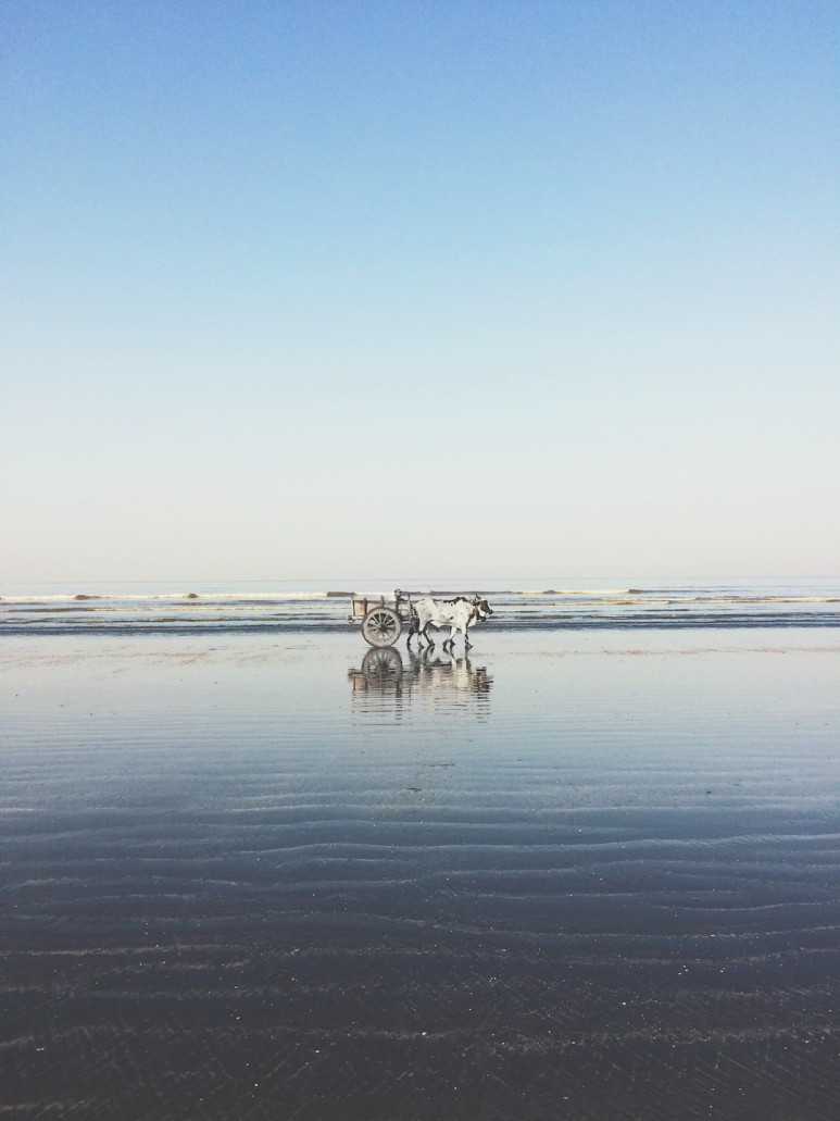 photo-1509157650025-fb4c4d866a9f (1).jpg