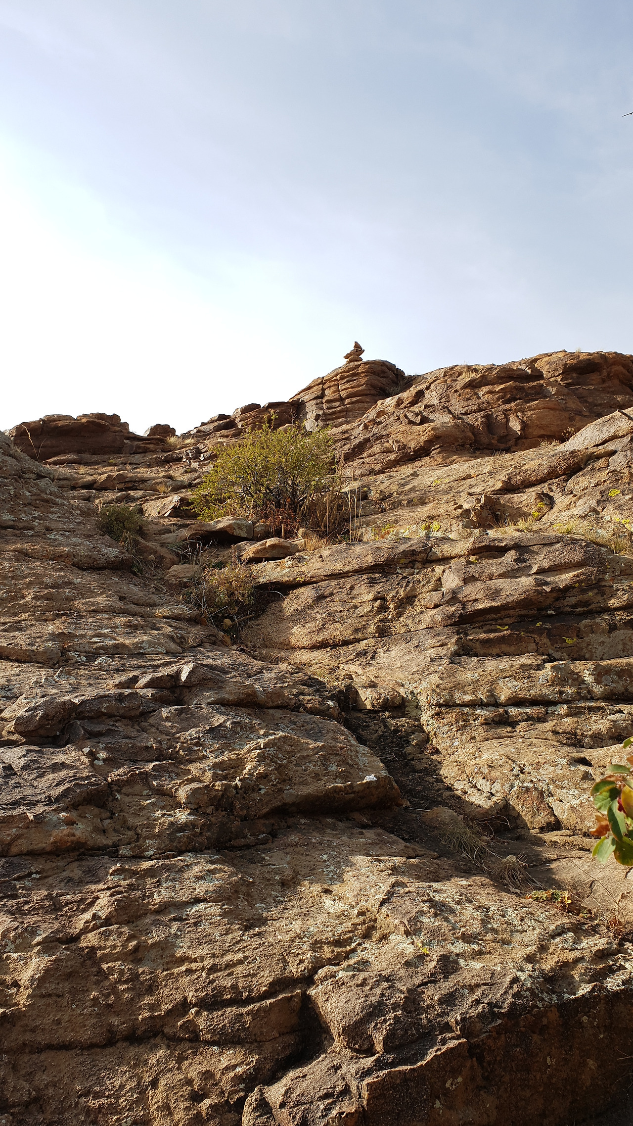 KakaoTalk_20191118_121836088_06 (1).jpg