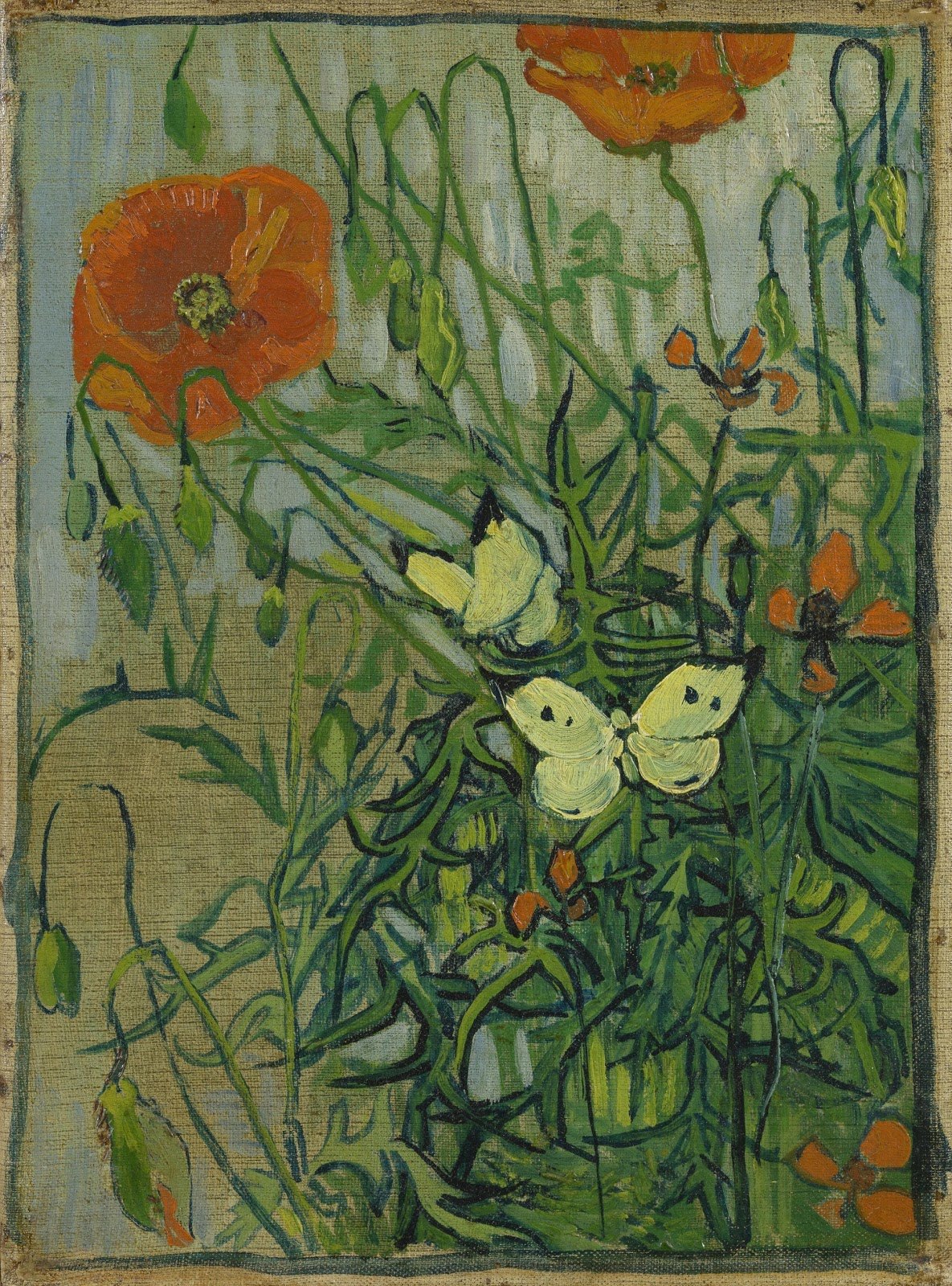 Vincent van Gogh_Butterflies and Poppies.jpg