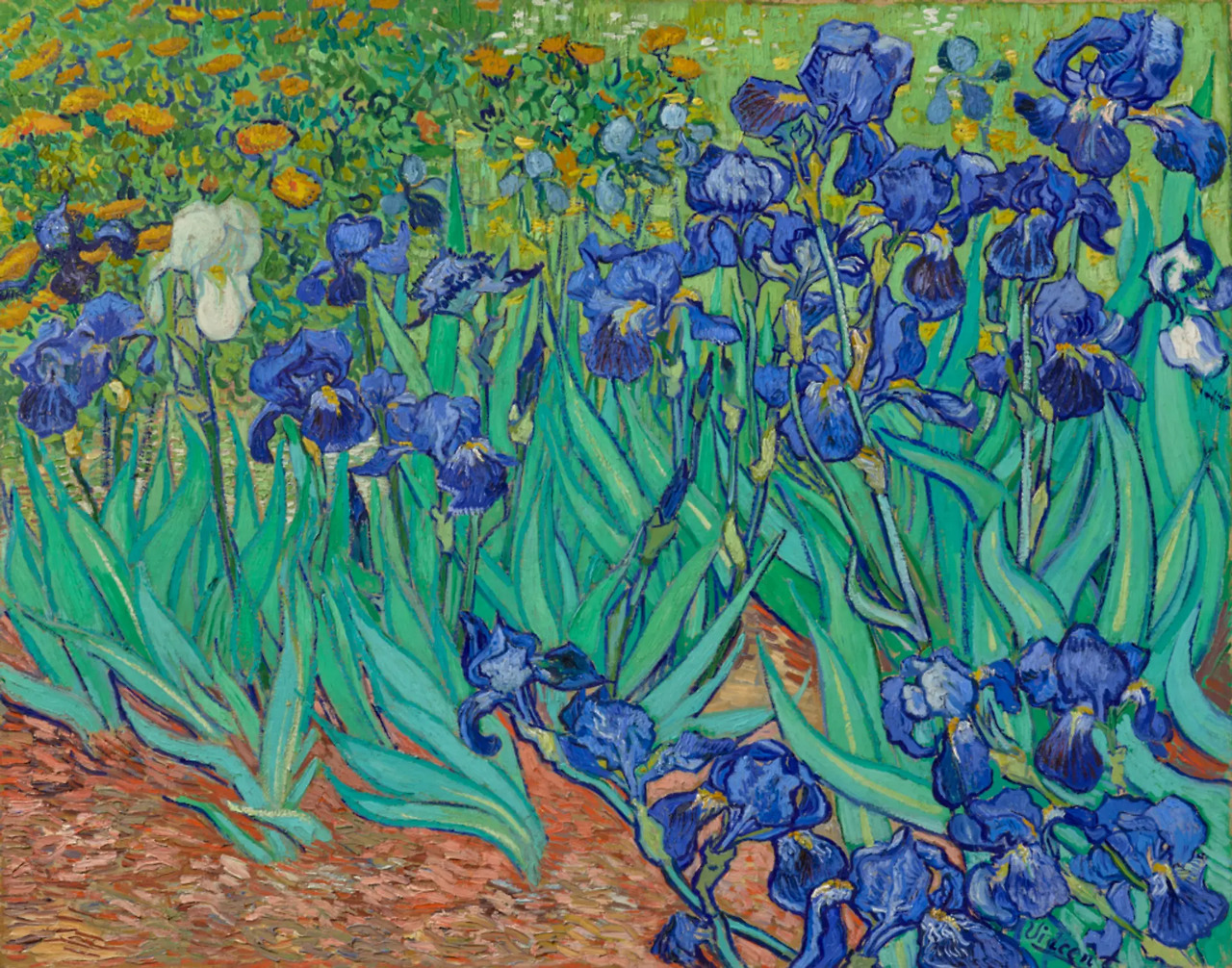 Irises_V van Gogh_1889.jpg