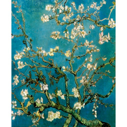 Almond Blossom_Van Gogh_1890.jpg