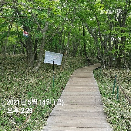 성판악 하산길.jpg