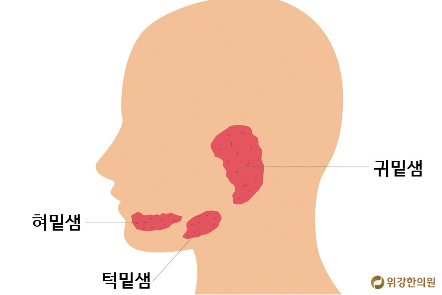 구강건조증원인4.jpg
