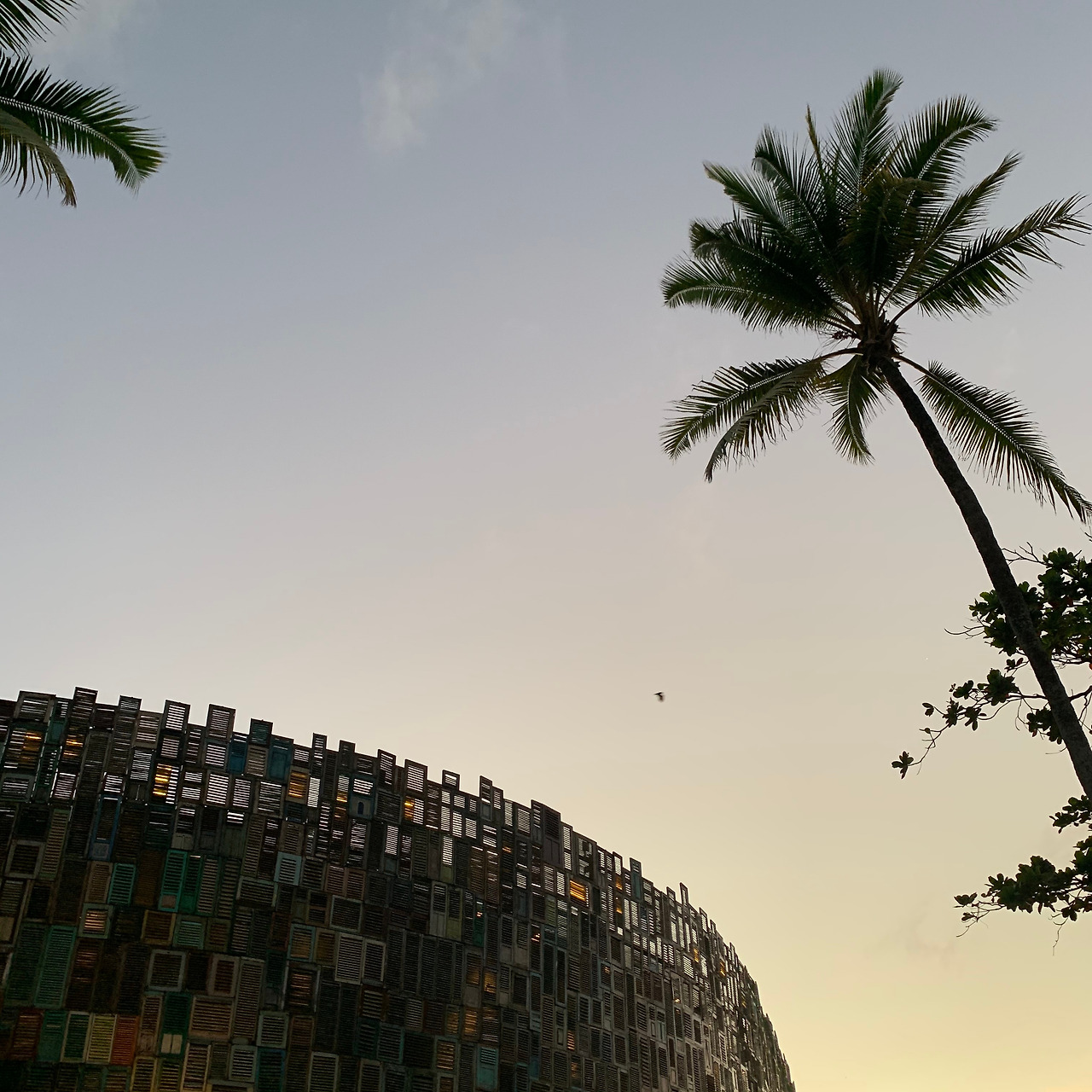 KakaoTalk_20200216_124500366_14 (1).jpg