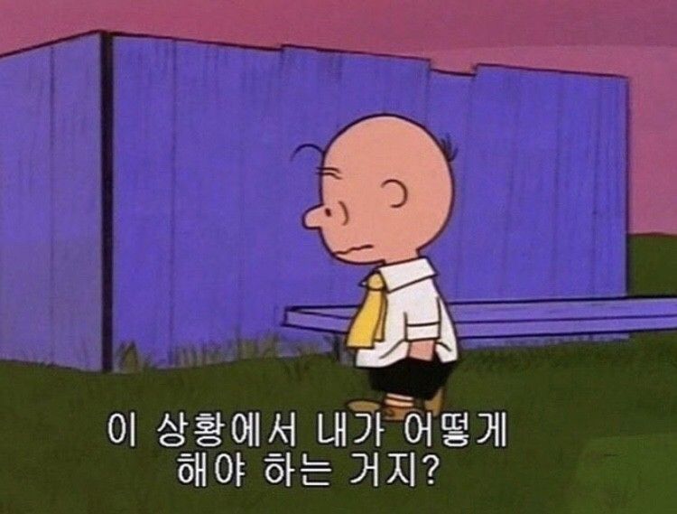 난 이 상황에서 어떻게 해야 하는거지.jpg