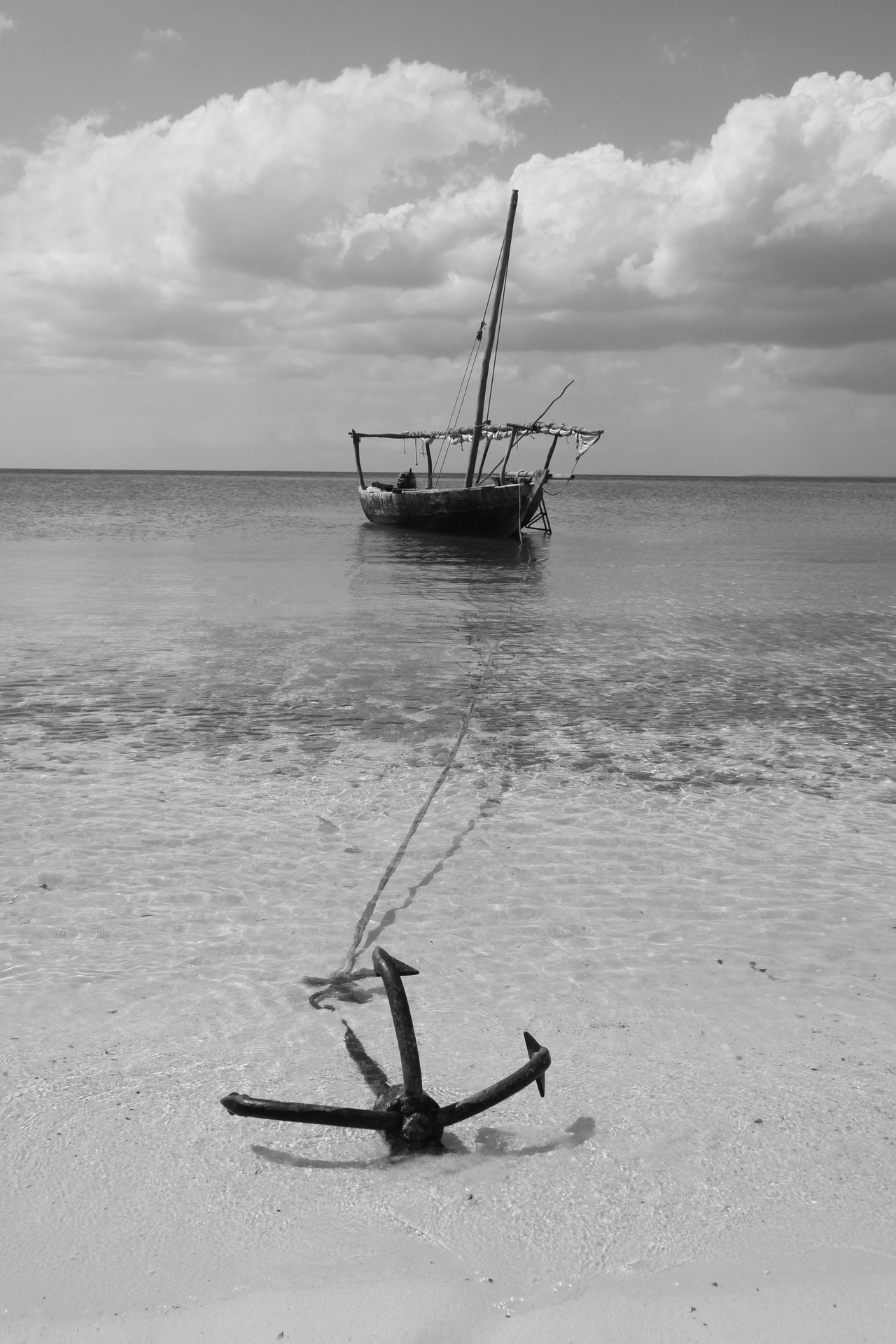 zanzibar-5195096_1920.jpg