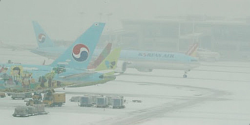 승무원 채용 6.jpg