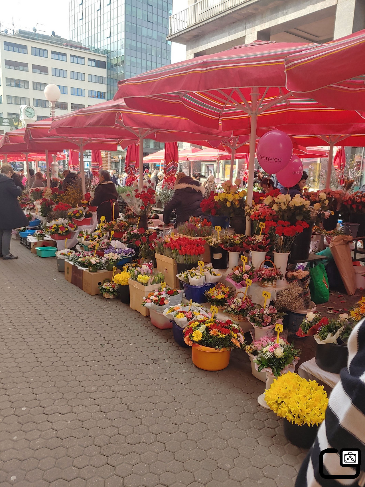 eu12-2_꽃시장1.jpg