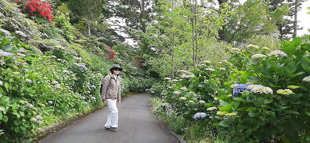 투파레 정원.jpg