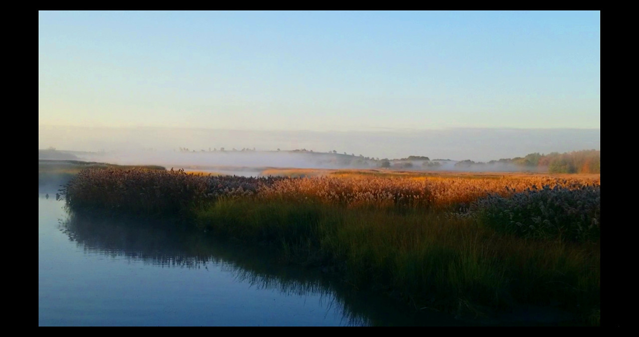 뉴욕시 안에도 습지가-2_Moment-23 #$.jpg