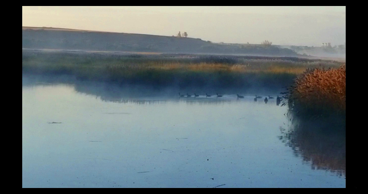 뉴욕시 안에도 습지가-2_Moment-31 ###.jpg