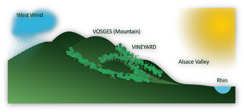 보쥬 산맥 비그늘.jpg