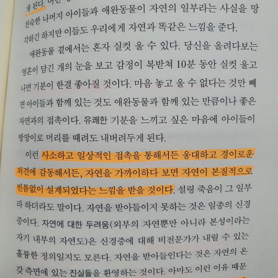 KakaoTalk_20200622_181641909_13.jpg