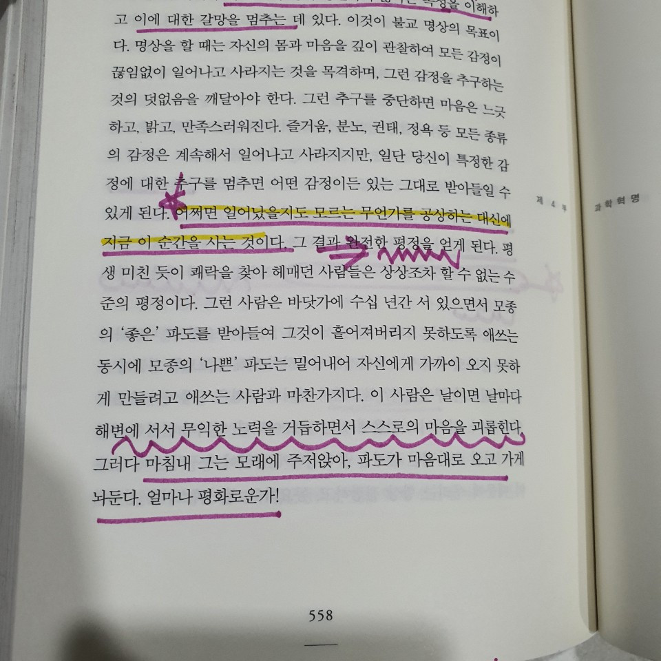 KakaoTalk_20200721_212840916_02.jpg