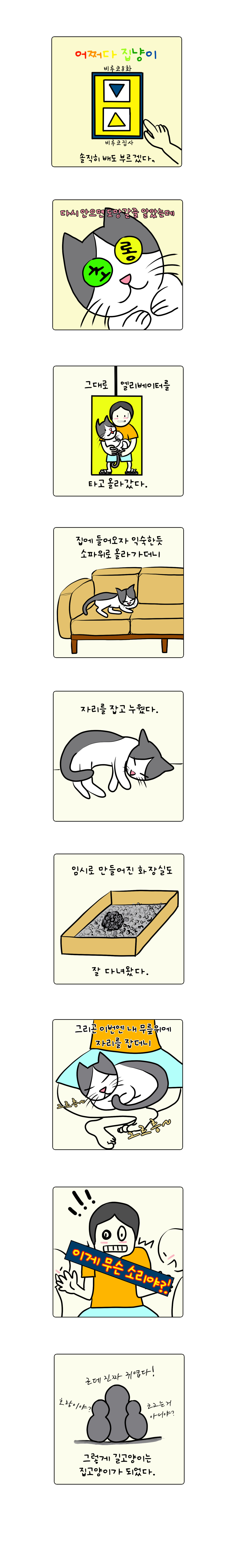 펫8.jpg