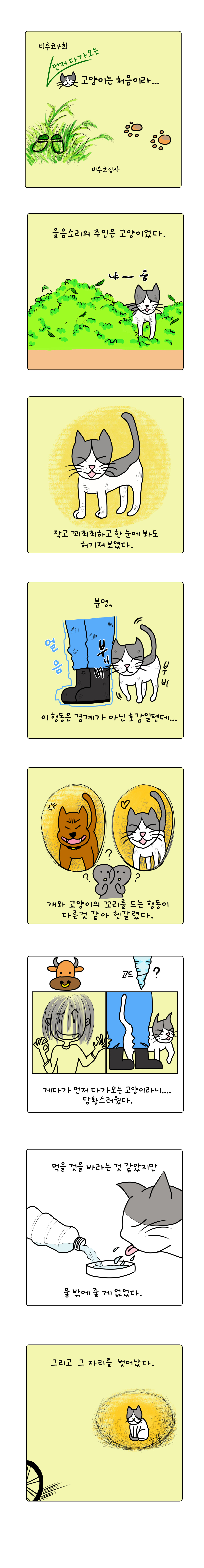 펫4.jpg