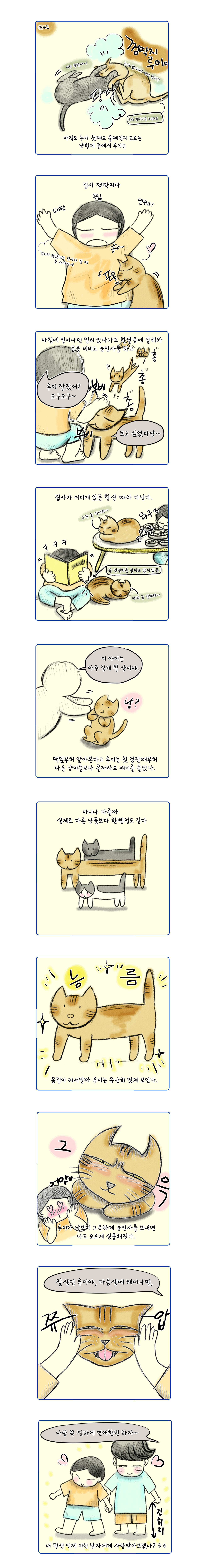 펫42.jpg