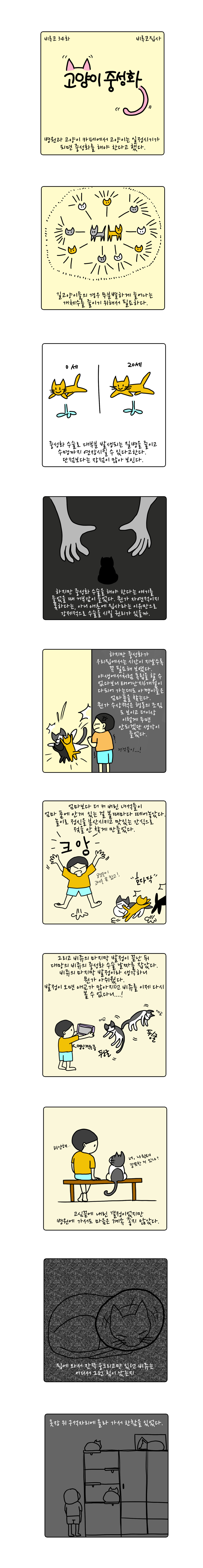 펫34.jpg